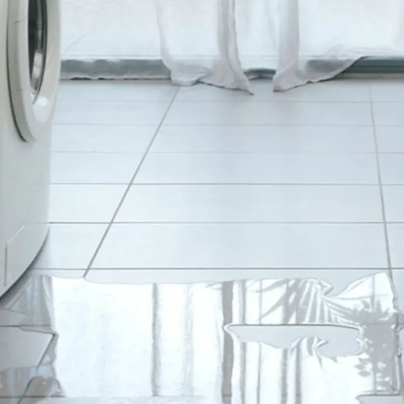 Appliance Leak Cleanup in West Pensacola, FL