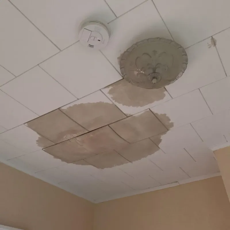 Ceiling Water Damage Repair in West Pensacola, FL